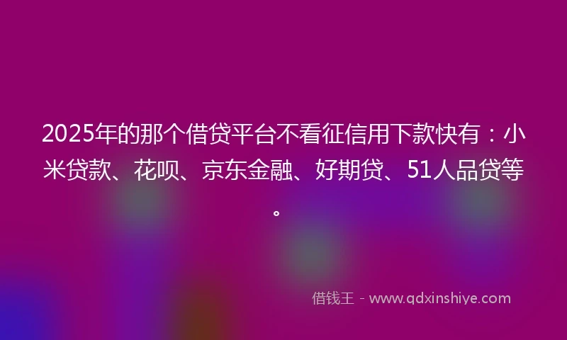 2025年的那个借贷平台不看征信用下款快有：小米贷款、花呗、京东金融、好期贷、51人品贷等。