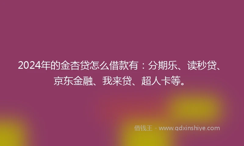 2024年的金杏贷怎么借款有：分期乐、读秒贷、京东金融、我来贷、超人卡等。
