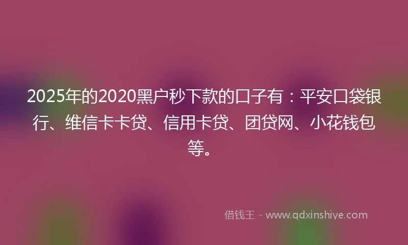 2025年的2020黑户秒下款的口子有：平安口袋银行、维信卡卡贷、信用卡贷、团贷网、小花钱包等。