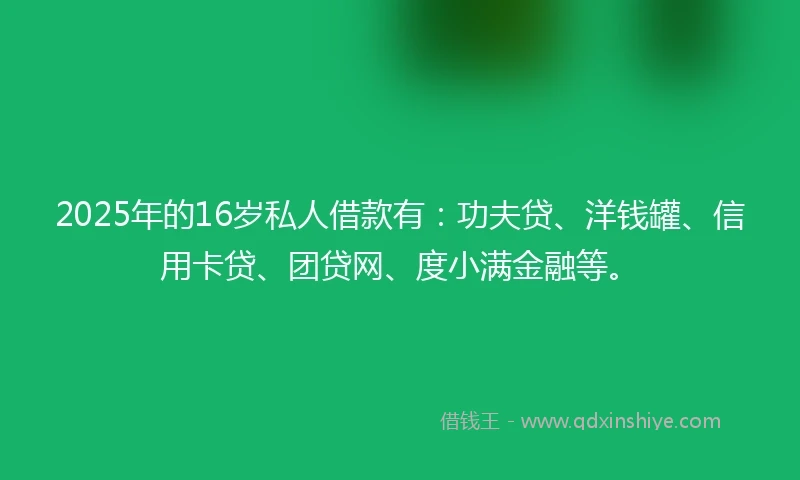 2025年的16岁私人借款有：功夫贷、洋钱罐、信用卡贷、团贷网、度小满金融等。