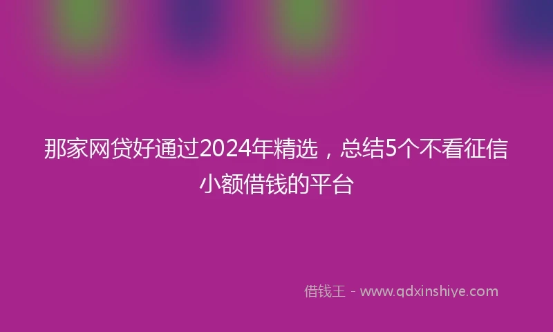 那家网贷好通过2024年精选，总结5个不看征信小额借钱的平台