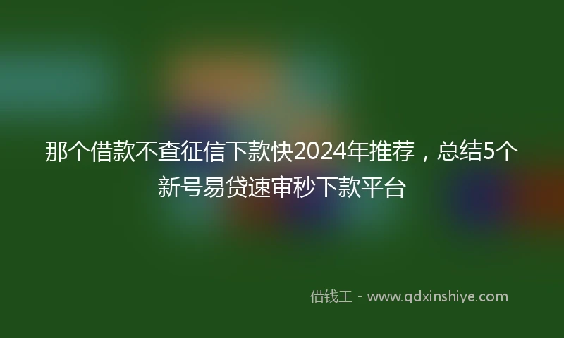 那个借款不查征信下款快2024年推荐，总结5个新号易贷速审秒下款平台