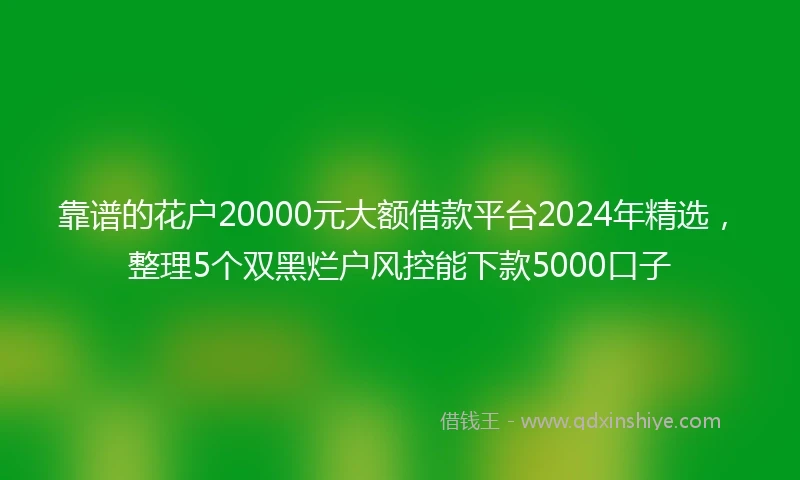 靠谱的花户20000元大额借款平台2024年精选，整理5个双黑烂户风控能下款5000口子