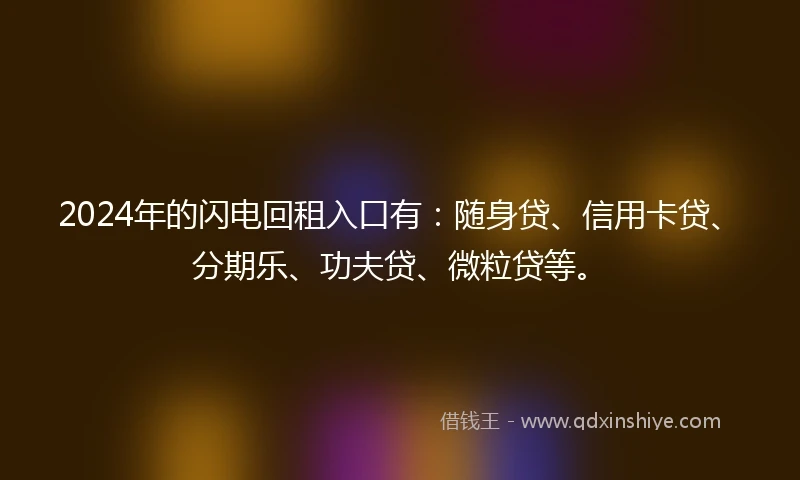 2024年的闪电回租入口有：随身贷、信用卡贷、分期乐、功夫贷、微粒贷等。