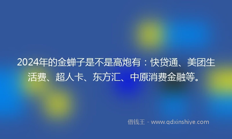 2024年的金蝉子是不是高炮有：快贷通、美团生活费、超人卡、东方汇、中原消费金融等。