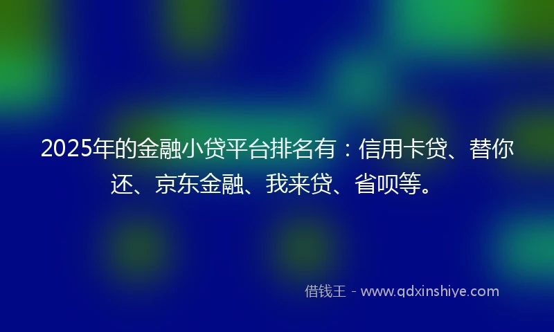2025年的金融小贷平台排名有：信用卡贷、替你还、京东金融、我来贷、省呗等。
