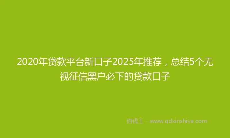 2020年贷款平台新口子2025年推荐，总结5个无视征信黑户必下的贷款口子