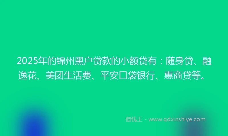 2025年的锦州黑户贷款的小额贷有：随身贷、融逸花、美团生活费、平安口袋银行、惠商贷等。