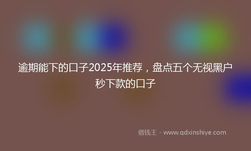 逾期能下的口子2025年推荐，盘点五个无视黑户秒下款的口子