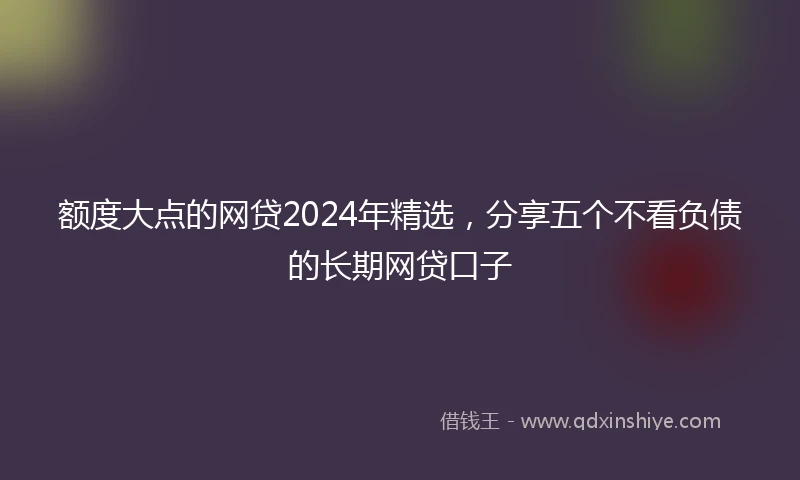 额度大点的网贷2024年精选，分享五个不看负债的长期网贷口子