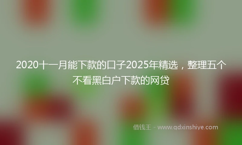 2020十一月能下款的口子2025年精选，整理五个不看黑白户下款的网贷
