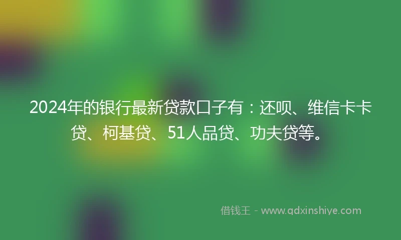 2024年的银行最新贷款口子有：还呗、维信卡卡贷、柯基贷、51人品贷、功夫贷等。