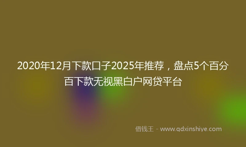 2020年12月下款口子2025年推荐，盘点5个百分百下款无视黑白户网贷平台