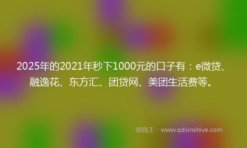 2025年的2021年秒下1000元的口子有：e微贷、融逸花、东方汇、团贷网、美团生活费等。