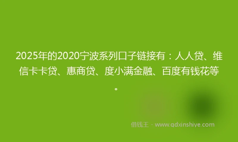 2025年的2020宁波系列口子链接有：人人贷、维信卡卡贷、惠商贷、度小满金融、百度有钱花等。