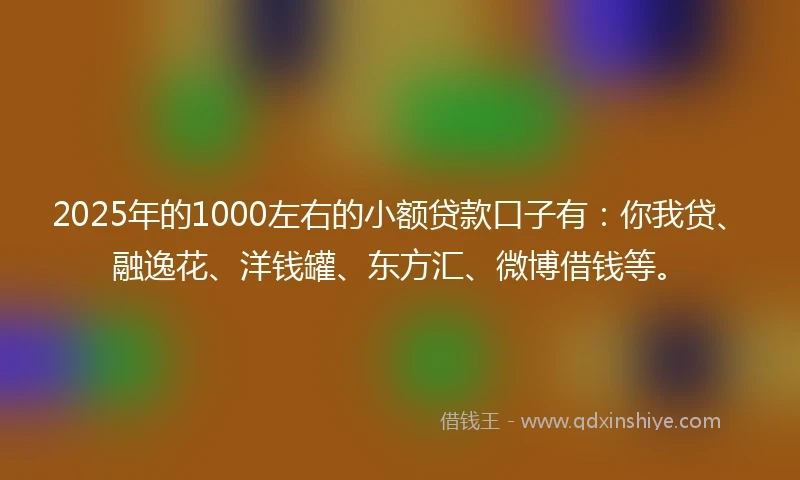 2025年的1000左右的小额贷款口子有：你我贷、融逸花、洋钱罐、东方汇、微博借钱等。