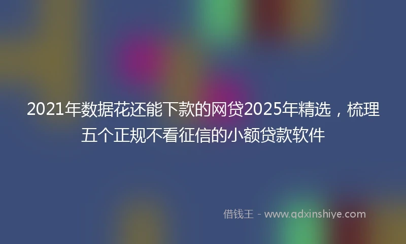 2021年数据花还能下款的网贷2025年精选，梳理五个正规不看征信的小额贷款软件