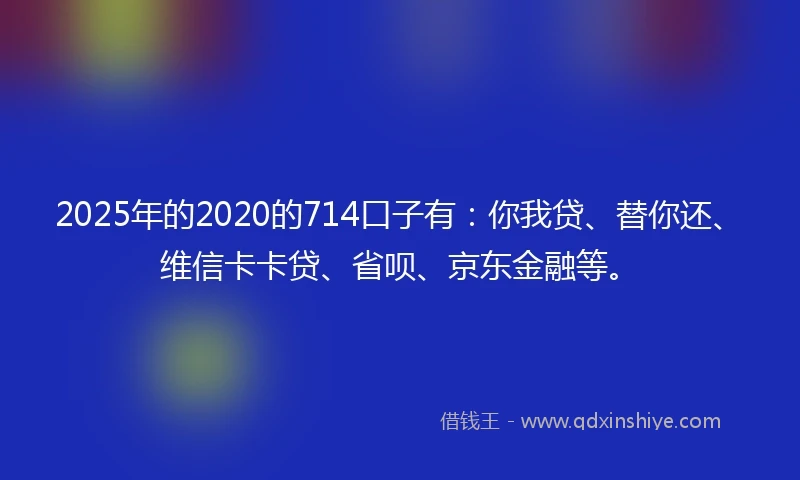 2025年的2020的714口子有：你我贷、替你还、维信卡卡贷、省呗、京东金融等。