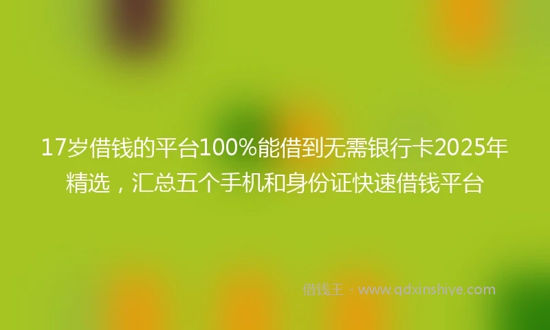 17岁借钱的平台100%能借到无需银行卡2025年精选，汇总五个手机和身份证快速借钱平台