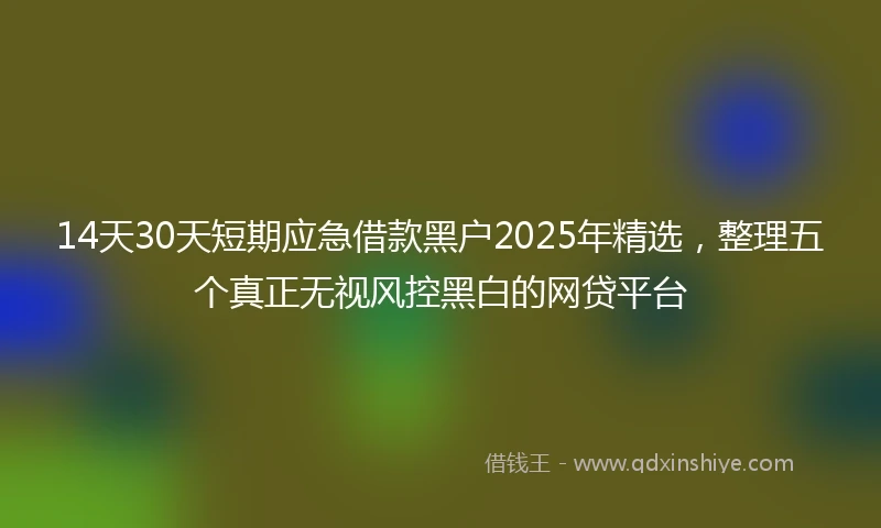 14天30天短期应急借款黑户2025年精选，整理五个真正无视风控黑白的网贷平台