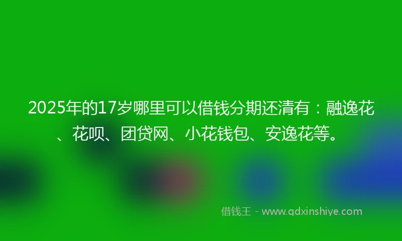 2025年的17岁哪里可以借钱分期还清有：融逸花、花呗、团贷网、小花钱包、安逸花等。