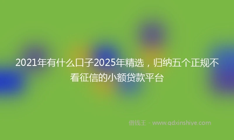 2021年有什么口子2025年精选，归纳五个正规不看征信的小额贷款平台