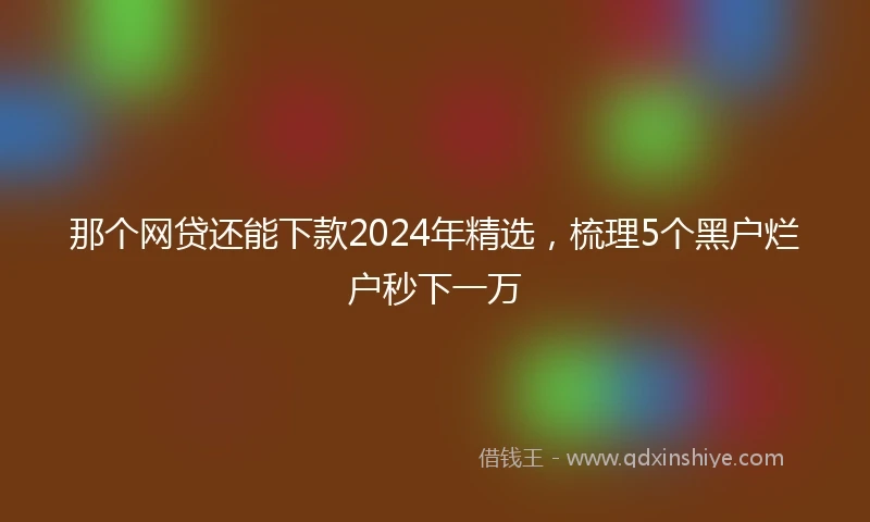 那个网贷还能下款2024年精选，梳理5个黑户烂户秒下一万