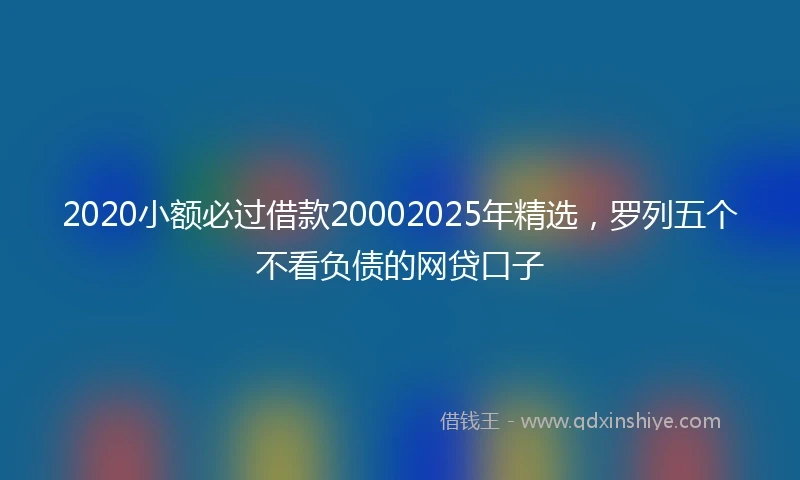 2020小额必过借款20002025年精选，罗列五个不看负债的网贷口子