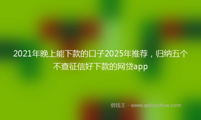 2021年晚上能下款的口子2025年推荐，归纳五个不查征信好下款的网贷app