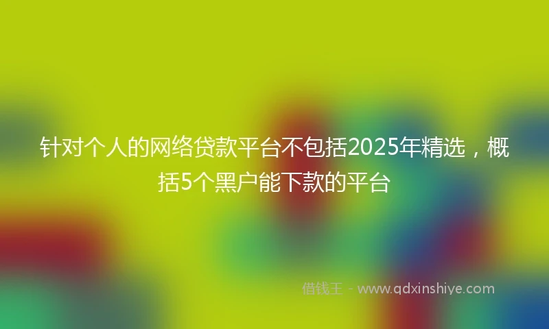 针对个人的网络贷款平台不包括2025年精选，概括5个黑户能下款的平台