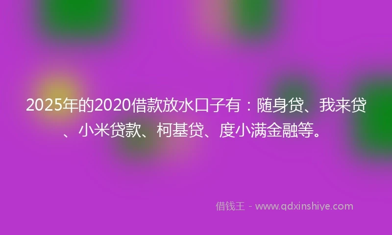 2025年的2020借款放水口子有：随身贷、我来贷、小米贷款、柯基贷、度小满金融等。