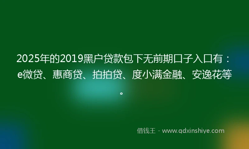 2025年的2019黑户贷款包下无前期口子入口有：e微贷、惠商贷、拍拍贷、度小满金融、安逸花等。