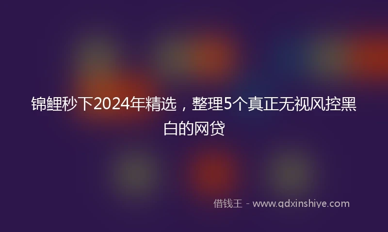 锦鲤秒下2024年精选，整理5个真正无视风控黑白的网贷