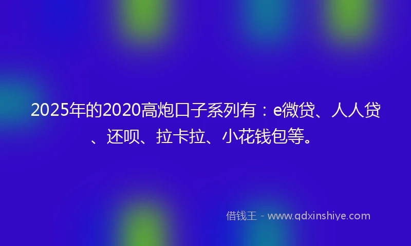 2025年的2020高炮口子系列有：e微贷、人人贷、还呗、拉卡拉、小花钱包等。