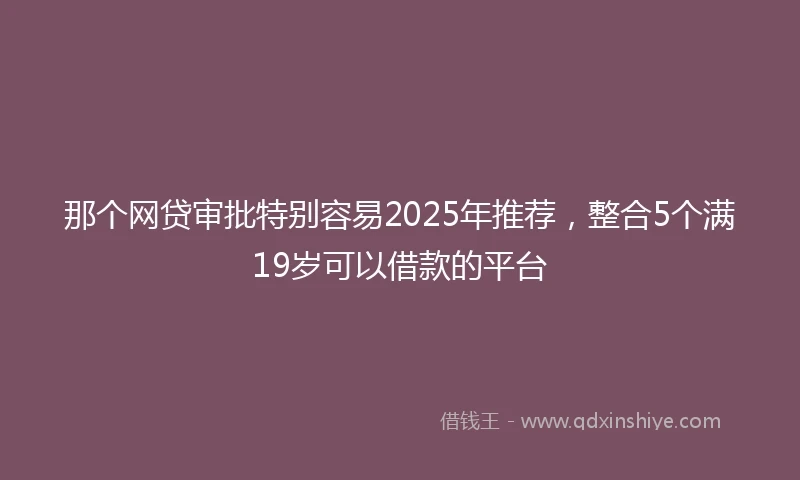 那个网贷审批特别容易2025年推荐，整合5个满19岁可以借款的平台