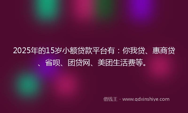 2025年的15岁小额贷款平台有：你我贷、惠商贷、省呗、团贷网、美团生活费等。
