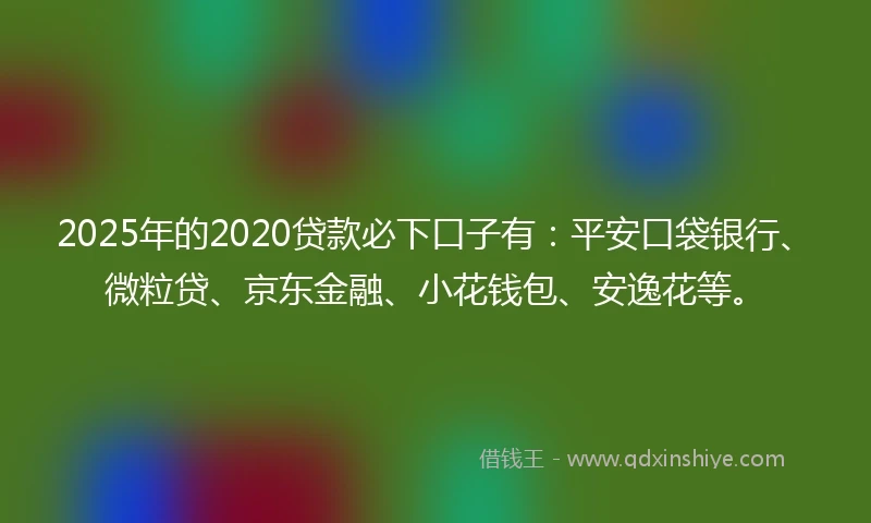 2025年的2020贷款必下口子有：平安口袋银行、微粒贷、京东金融、小花钱包、安逸花等。