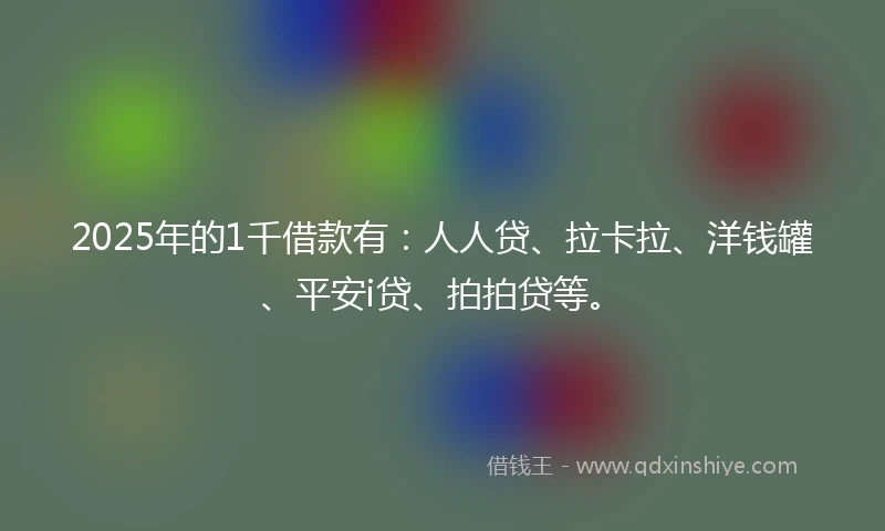 2025年的1千借款有：人人贷、拉卡拉、洋钱罐、平安i贷、拍拍贷等。