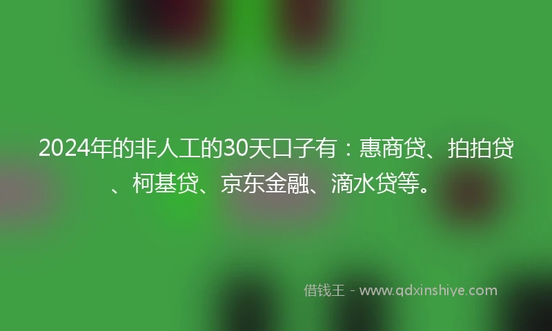 2024年的非人工的30天口子有：惠商贷、拍拍贷、柯基贷、京东金融、滴水贷等。