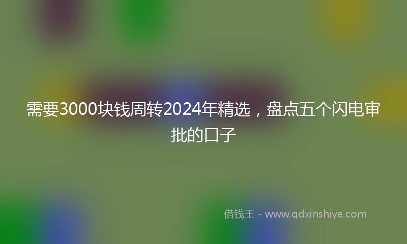 需要3000块钱周转2024年精选，盘点五个闪电审批的口子