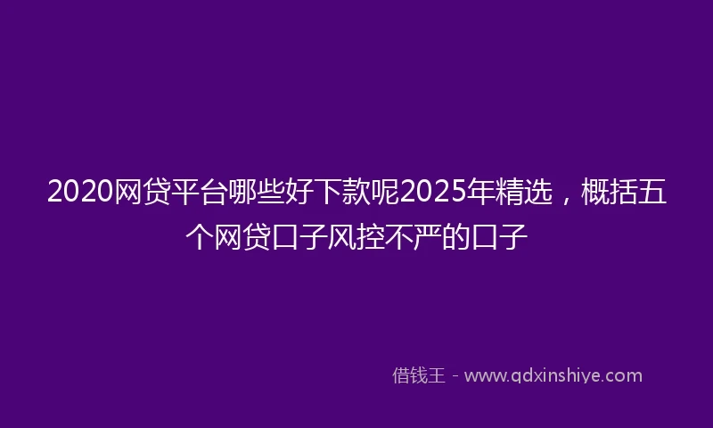 2020网贷平台哪些好下款呢2025年精选，概括五个网贷口子风控不严的口子