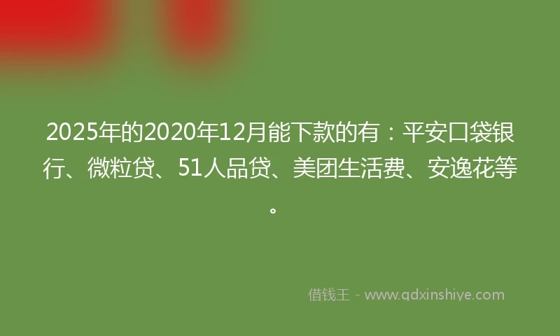 2025年的2020年12月能下款的有：平安口袋银行、微粒贷、51人品贷、美团生活费、安逸花等。