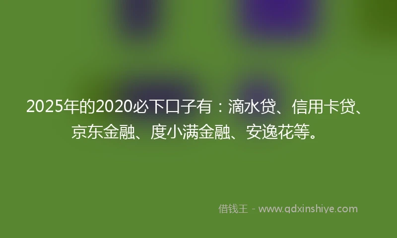 2025年的2020必下口子有：滴水贷、信用卡贷、京东金融、度小满金融、安逸花等。