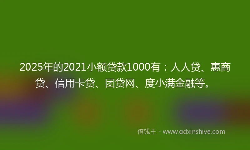 2025年的2021小额贷款1000有：人人贷、惠商贷、信用卡贷、团贷网、度小满金融等。