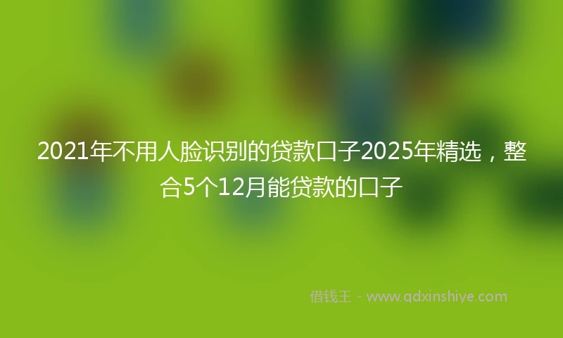 2021年不用人脸识别的贷款口子2025年精选，整合5个12月能贷款的口子