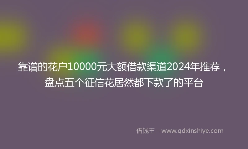靠谱的花户10000元大额借款渠道2024年推荐，盘点五个征信花居然都下款了的平台