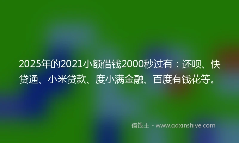 2025年的2021小额借钱2000秒过有：还呗、快贷通、小米贷款、度小满金融、百度有钱花等。
