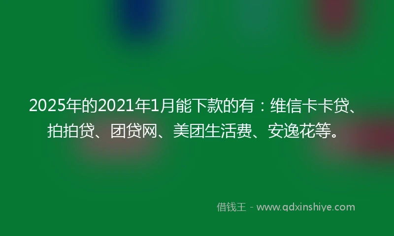 2025年的2021年1月能下款的有：维信卡卡贷、拍拍贷、团贷网、美团生活费、安逸花等。