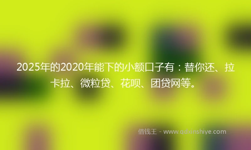 2025年的2020年能下的小额口子有：替你还、拉卡拉、微粒贷、花呗、团贷网等。