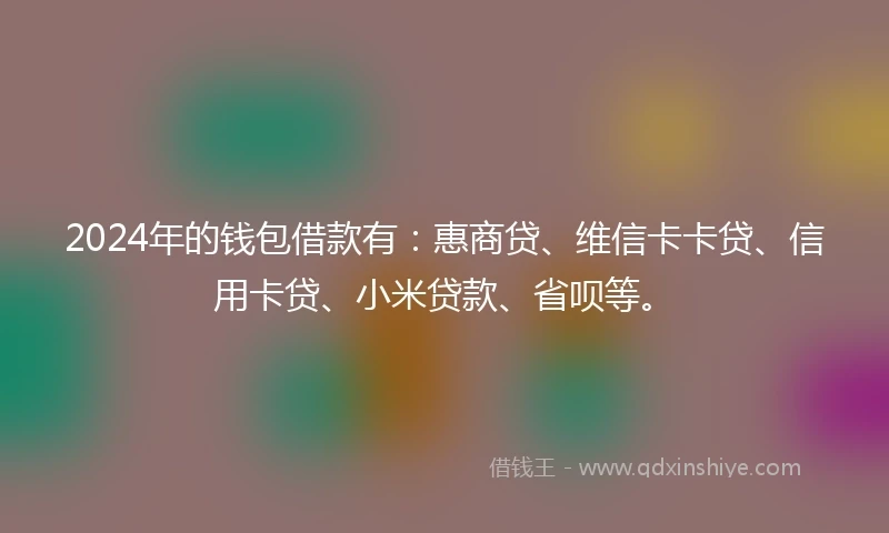 2024年的钱包借款有：惠商贷、维信卡卡贷、信用卡贷、小米贷款、省呗等。
